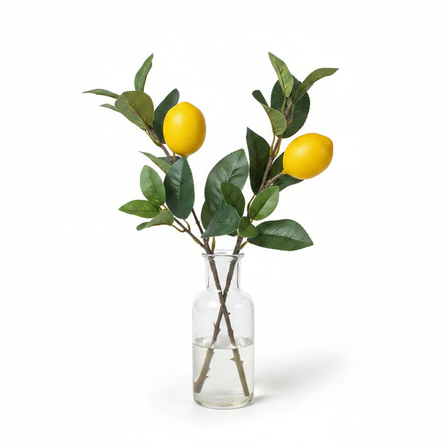 Citrus Branch Lemon
