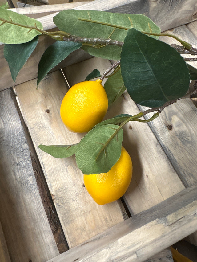 Citrus Branch Lemon