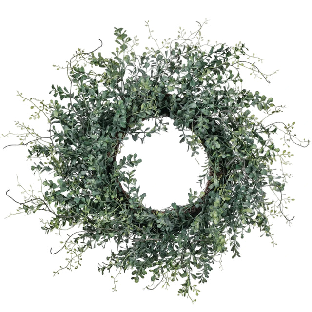 24" Blue Boxwood Wreath