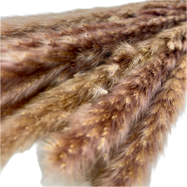 26" Natural Pampas Grass Bundle - Brown