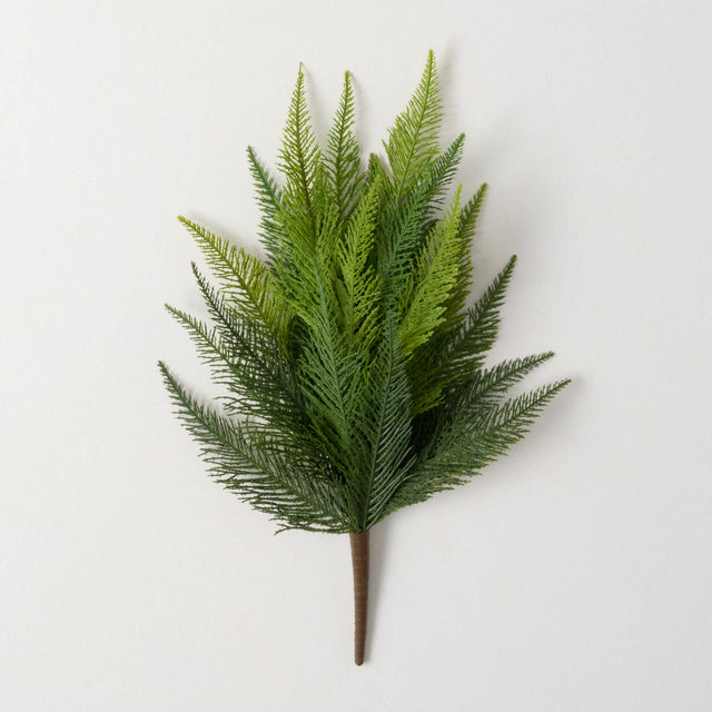 Green Ruffled Fern Bush
