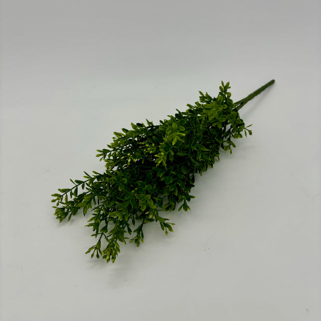 18" Mini Boxwood Dark Green Spray