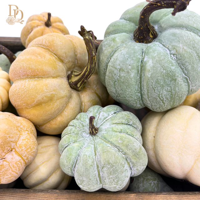 Mini Pumpkin Gourds | Bag of 12 | Cream
