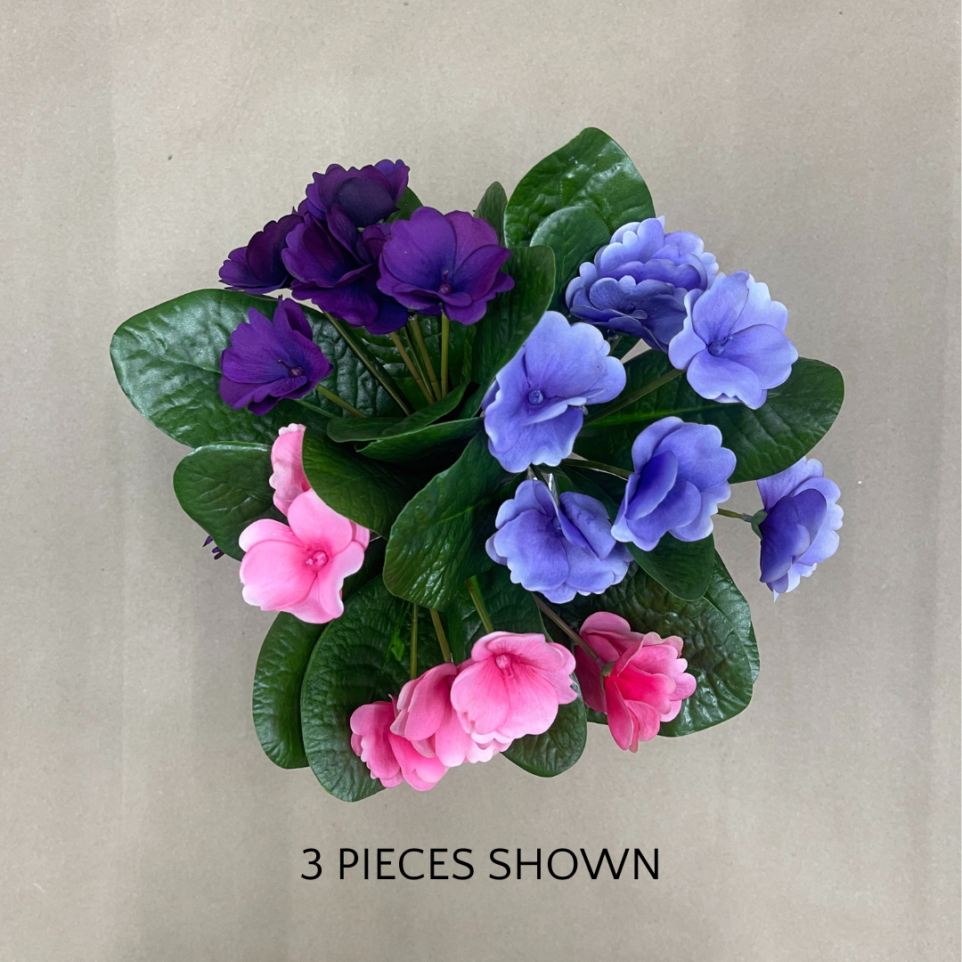 8" African Violet Plant | UV Treated | Lavender Pink Purple