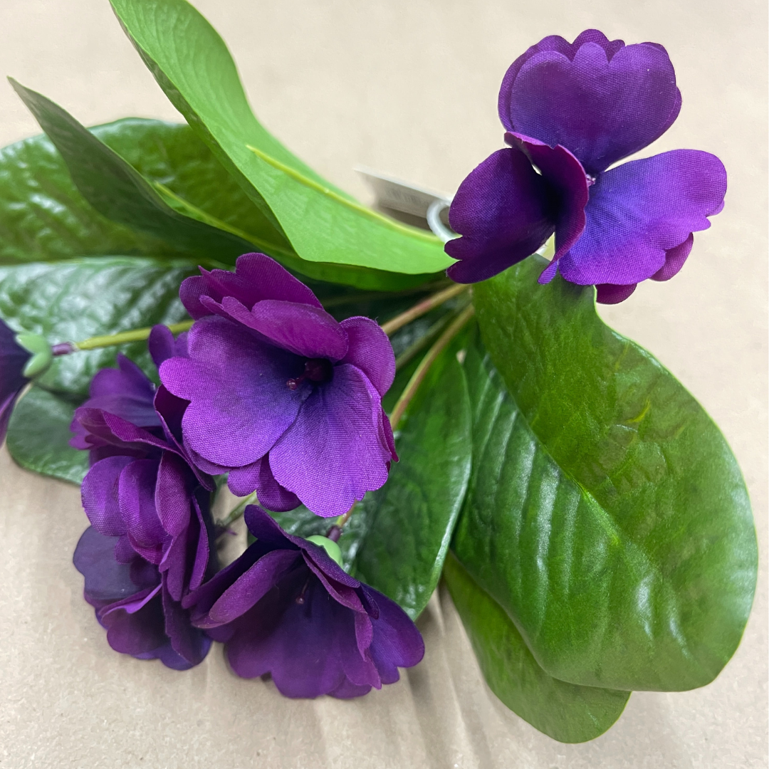 8" African Violet Plant | UV Treated | Lavender Pink Purple