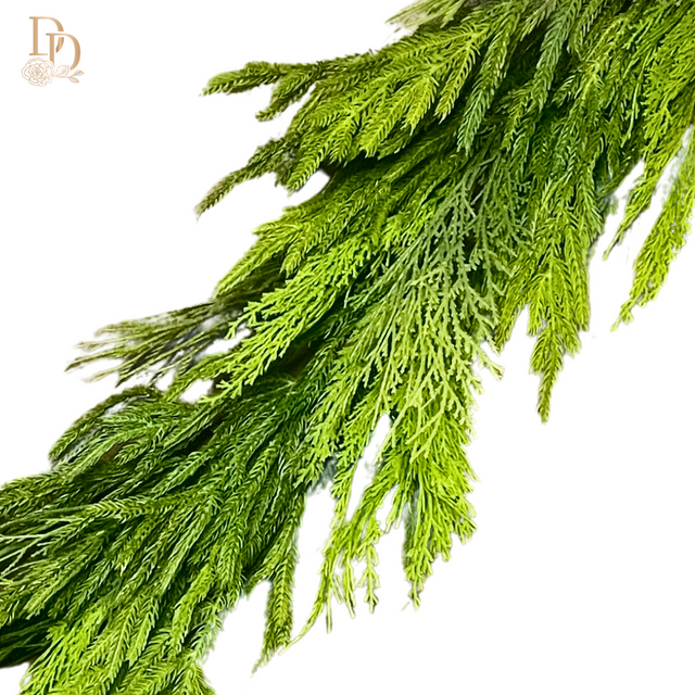 48" Cyprus & Norfolk Pine Garland