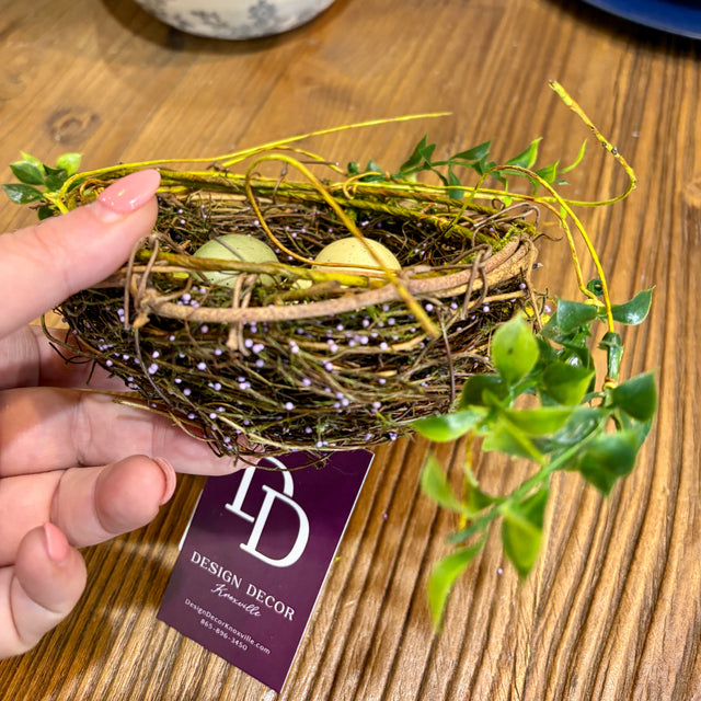 6.5" Bird Nest with Eggs