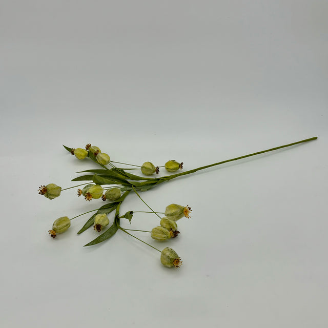 31" Green Rosehip Stem