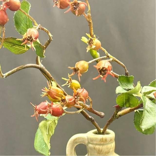18" Rosehip Stem