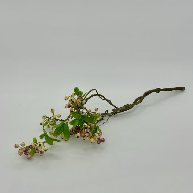 Berry with Leaves Spray