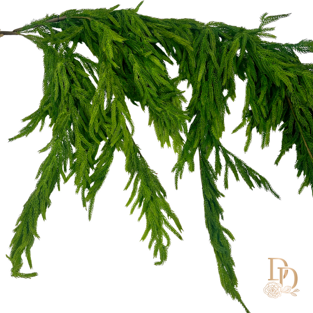 40" x 27" Real Touch Norfolk Pine Dripping Garland