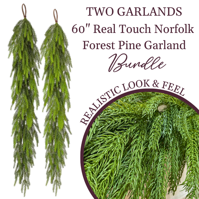 60" Forest Norfolk Pine | 2 Garland Bundle