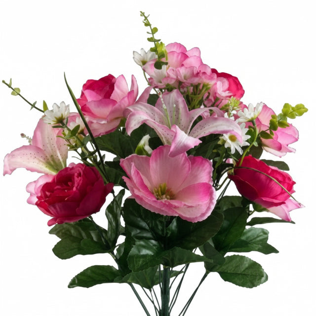 24" Pink Rose Magnolia Lily Bush
