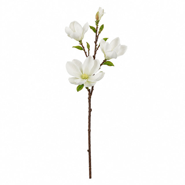 34" Cream Saucer Magnolia Spray