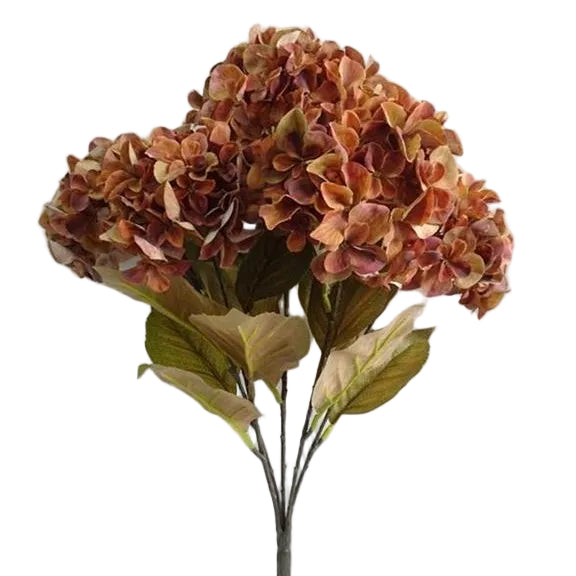 22.5 inch Hazelnut Harvest Hydrangea Bush - 5 Blooms