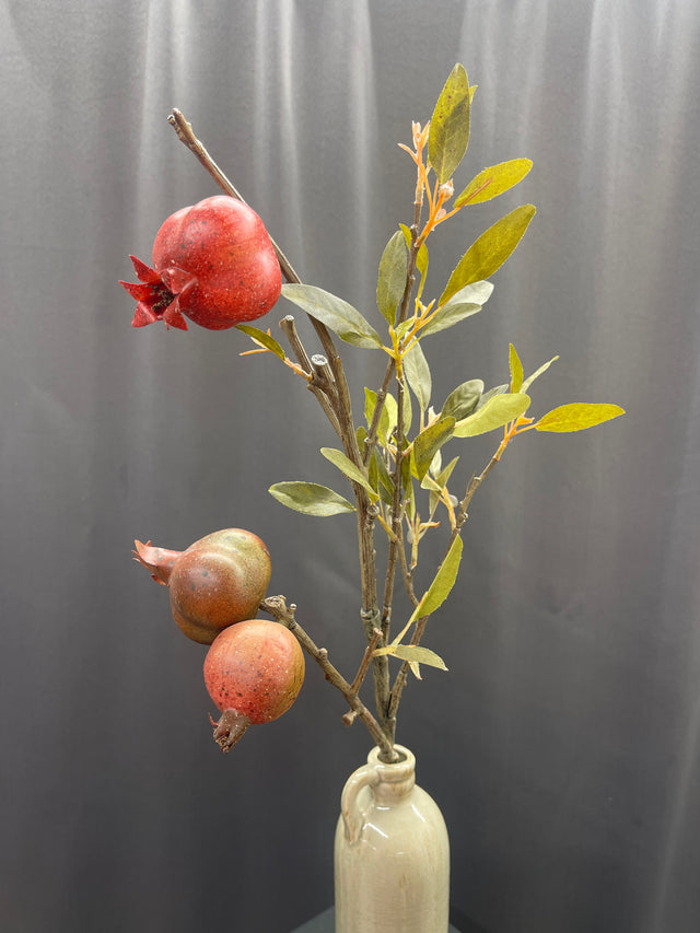 24" Pomegranate Cutting Stem