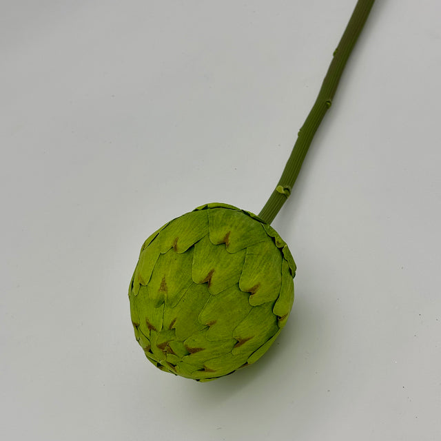 Green Artichoke Spray
