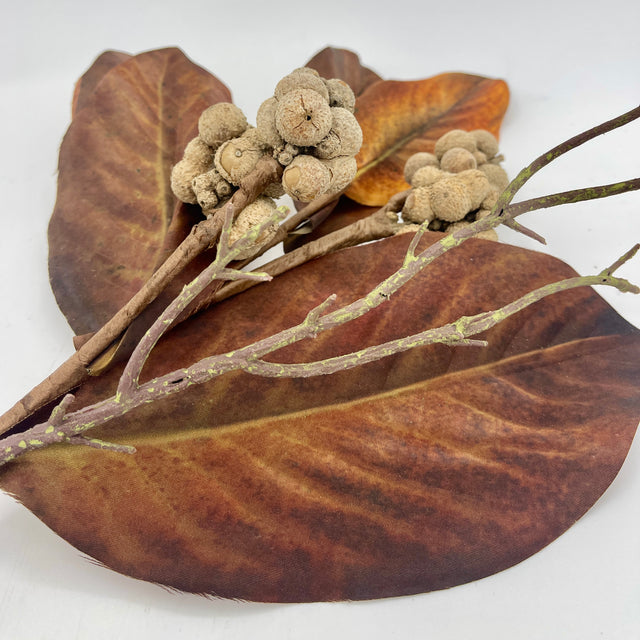 25" Brown Harvest Mix Magnolia Spray