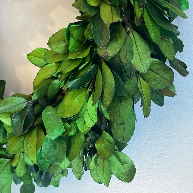 Preserved Laurel Wreath, 16"