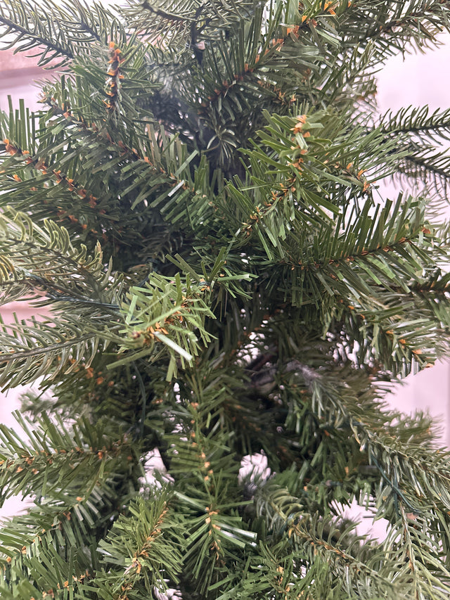 4’ Idaho Tree