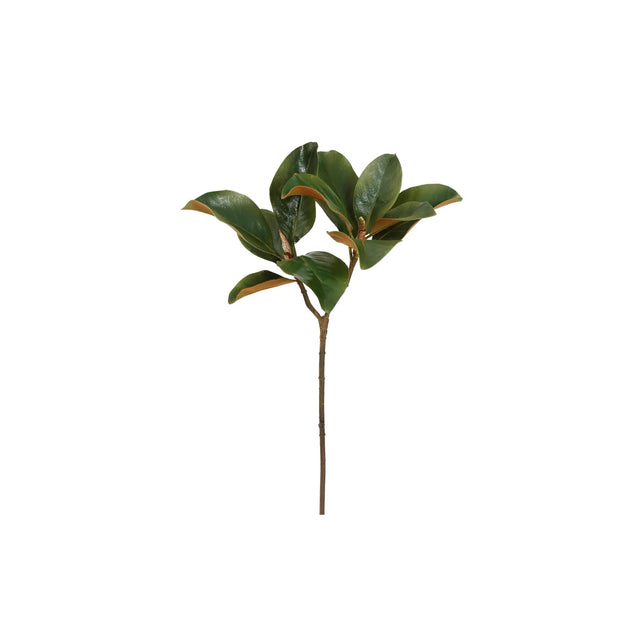 25" Small Magnolia Leaf Stem