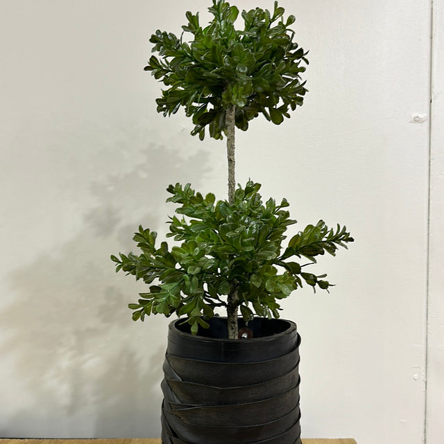 Ruffled Topiary