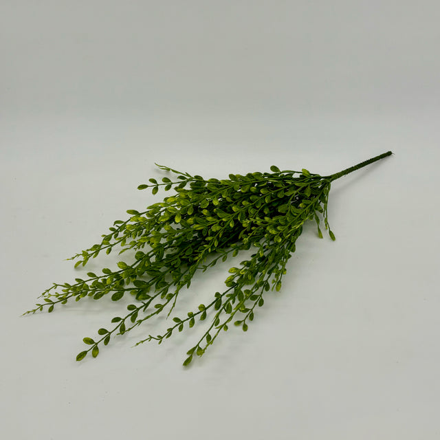 Green English Box Spray