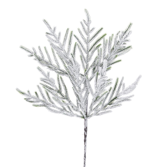 24 inch Frosted Norfolk Pine Spray