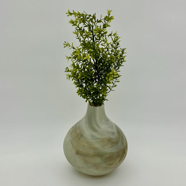 Mini Boxwood Bush Light Green