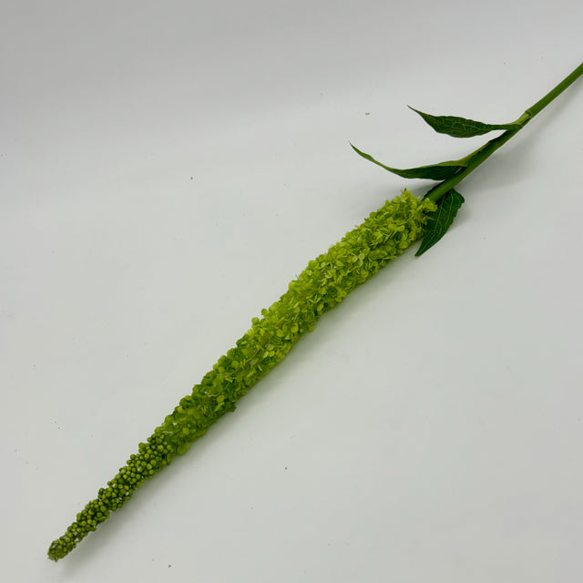 44" Green Amaranthus Stalk