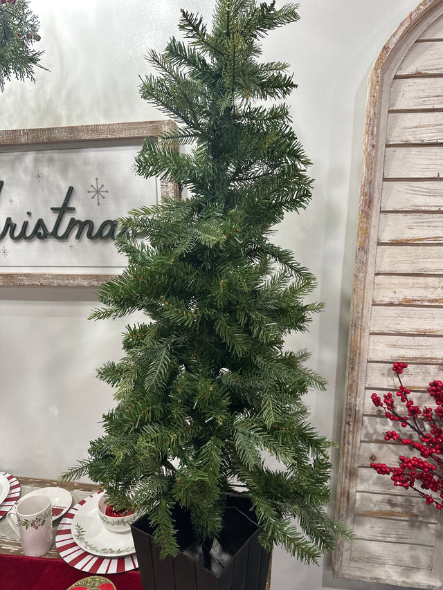 4’ Idaho Tree