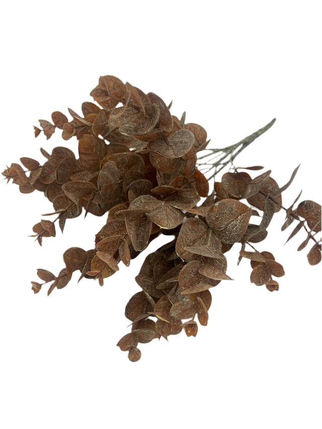 20" Brown Eucalyptus Bush