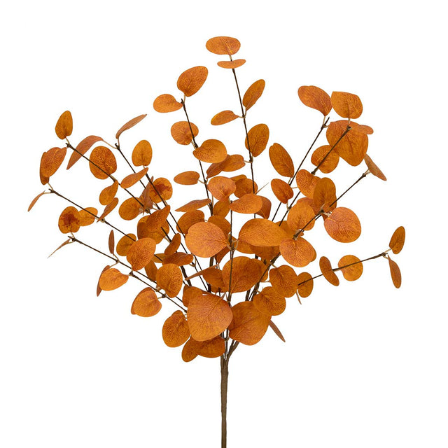 21" Orange Eucalyptus Bush