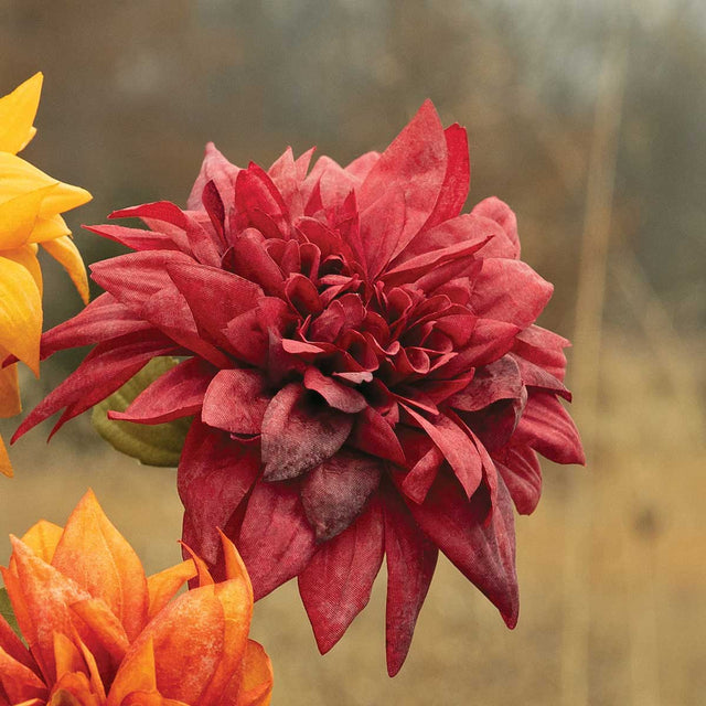 29" Burgundy Dahlia Stem