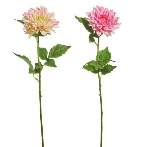 23" Dahlia Stem