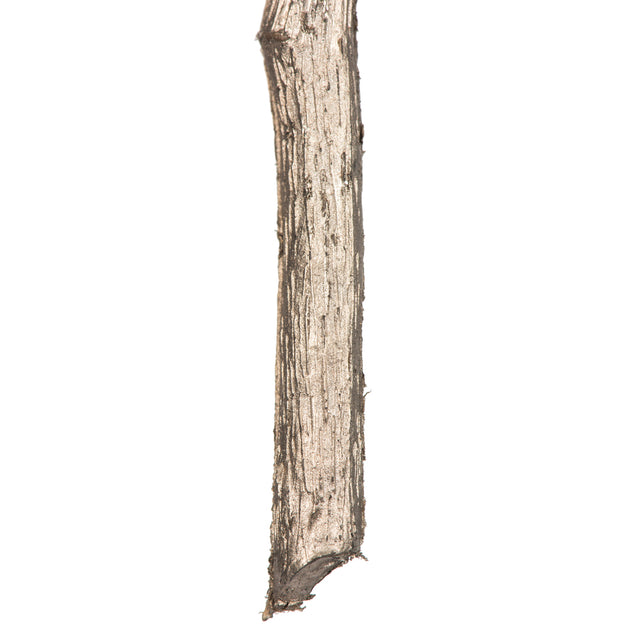 38" Needle Pine Spray-Champagne