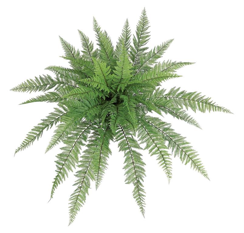 46" Luxury Leather Fern Bush