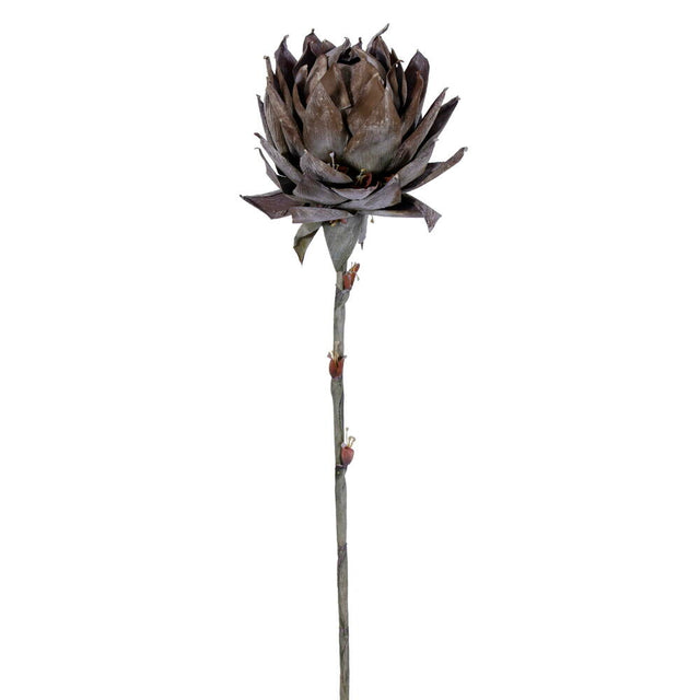 42.5" Brown Dried Artificial Protea Stem
