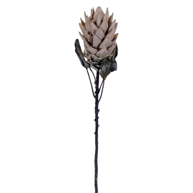 30.5" Dried Artificial Protea Stem | Light Red or Cream