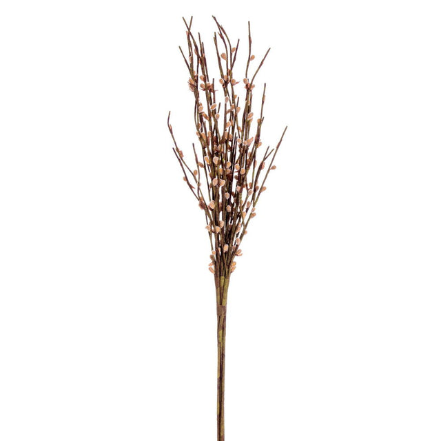 34" Artificial Beige Goat Willow Bundle