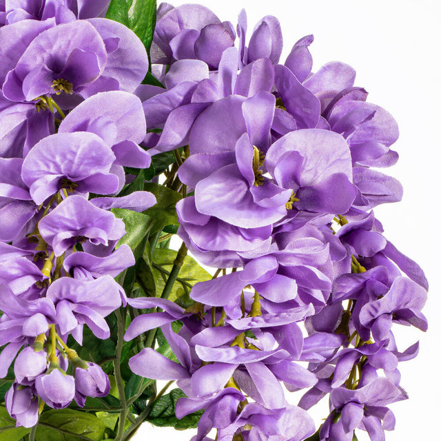 19" Lavender Wisteria Bush