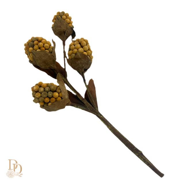 18" Nutmeg Pod Berry Spray