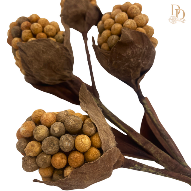 18" Nutmeg Pod Berry Spray