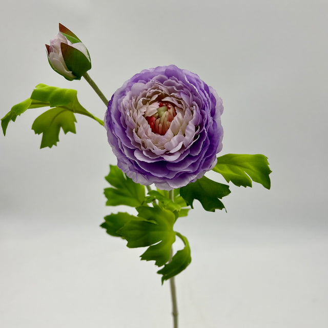 24" Purple Ranunculus Spray
