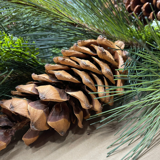 24" Sugar Pine Wreath