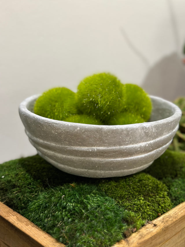 3" Layered Design Concrete Pot