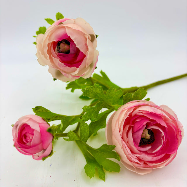 RANUNCULUS W BUDS STEM