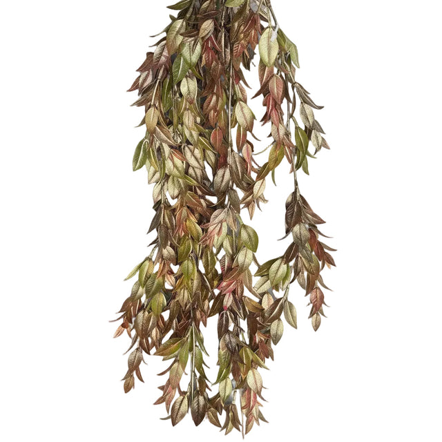 30" Copper Ruscus Hanging Bush