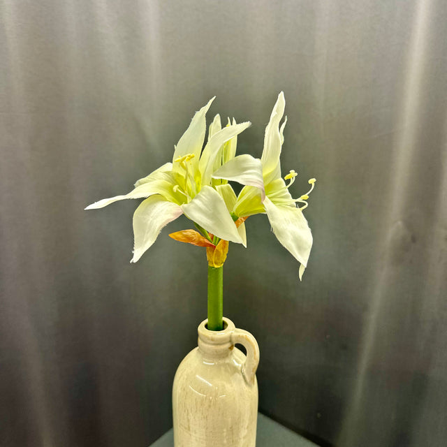17" White Star Amaryllis Stem