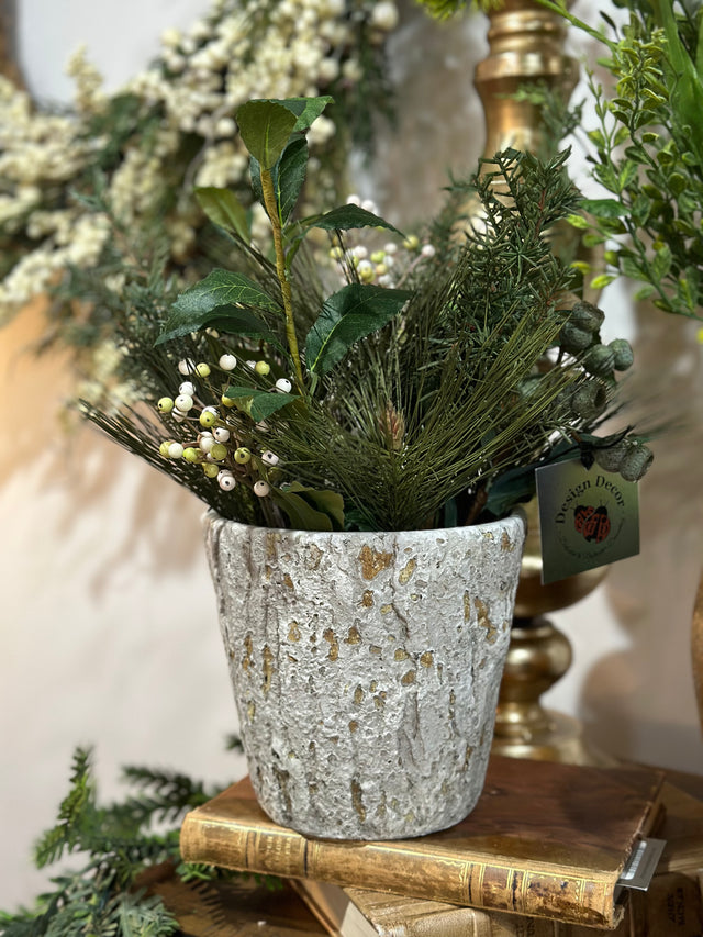 Pine Berry in pot arrangement 15”